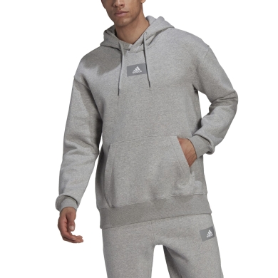 adidas Hoodie Essentials Feelvivid Cotton Grey Men